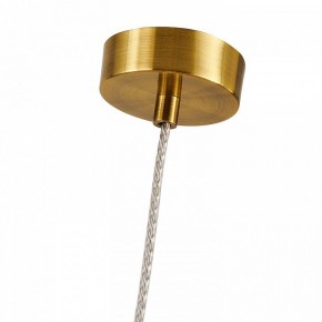 Подвесной светильник Favourite Stalactit 4455-1P в Сысерти - sysert.ok-mebel.com | фото 8