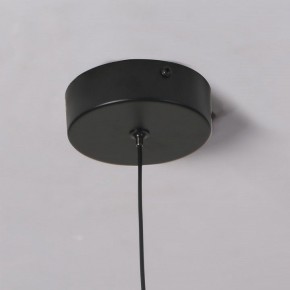 Подвесной светильник Favourite Wilet 4656-1P в Сысерти - sysert.ok-mebel.com | фото 10