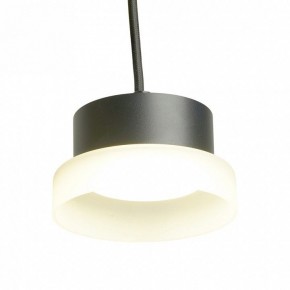 Подвесной светильник Feron HL4608 51687 в Сысерти - sysert.ok-mebel.com | фото 5