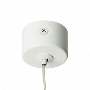 Подвесной светильник Feron ML1028 51396 в Сысерти - sysert.ok-mebel.com | фото 8