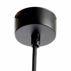 Подвесной светильник Feron ML1898 48747 в Сысерти - sysert.ok-mebel.com | фото 9