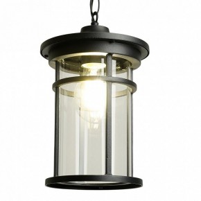 Подвесной светильник Feron PL765 51819 в Сысерти - sysert.ok-mebel.com | фото 3