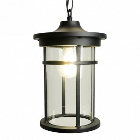 Подвесной светильник Feron PL765 51819 в Сысерти - sysert.ok-mebel.com | фото 4