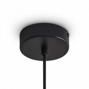 Подвесной светильник Freya Ice FR5541PL-L5B в Сысерти - sysert.ok-mebel.com | фото 5