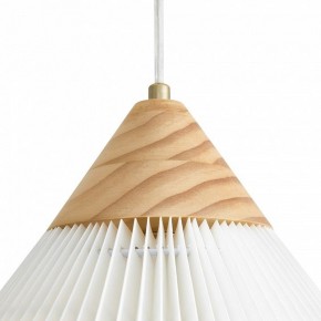 Подвесной светильник Freya Kinsley FR5533PL-01BS в Сысерти - sysert.ok-mebel.com | фото 8