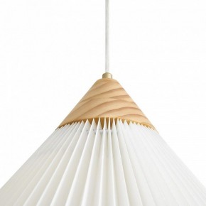 Подвесной светильник Freya Kinsley FR5533PL-01BS1 в Сысерти - sysert.ok-mebel.com | фото 8
