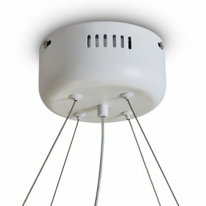 Подвесной светильник Freya Rain FR5546PL-L60W в Сысерти - sysert.ok-mebel.com | фото 9