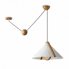 Подвесной светильник Freya Umbra FR5554CL-01T в Сысерти - sysert.ok-mebel.com | фото 2