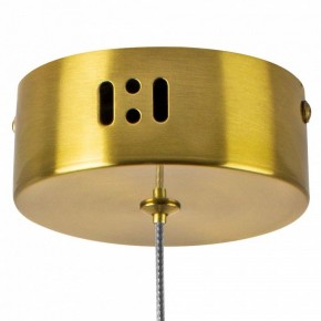 Подвесной светильник Lightstar Botto 800033 в Сысерти - sysert.ok-mebel.com | фото 7