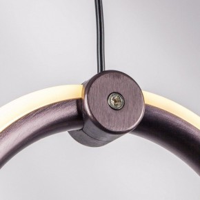 Подвесной светильник Lightstar Caramello 796229 в Сысерти - sysert.ok-mebel.com | фото 10