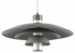 Подвесной светильник Lightstar Erbareo 799019 в Сысерти - sysert.ok-mebel.com | фото