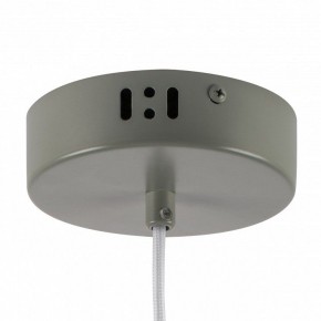 Подвесной светильник Lightstar Erbareo 799019 в Сысерти - sysert.ok-mebel.com | фото 5