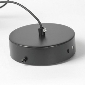 Подвесной светильник Lussole Bradford LSP-7154 в Сысерти - sysert.ok-mebel.com | фото 6