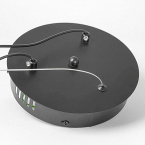 Подвесной светильник Lussole Bradford LSP-7160 в Сысерти - sysert.ok-mebel.com | фото 7