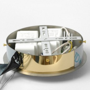Подвесной светильник Lussole Citrus LSP-7158 в Сысерти - sysert.ok-mebel.com | фото 6