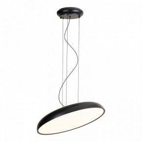 Подвесной светильник Lussole Crook LSP-7360 в Сысерти - sysert.ok-mebel.com | фото 2