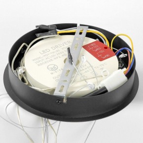 Подвесной светильник Lussole Hale LSP-7380 в Сысерти - sysert.ok-mebel.com | фото 6