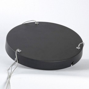 Подвесной светильник Lussole HARDIN LSP-7427 в Сысерти - sysert.ok-mebel.com | фото 4