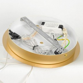 Подвесной светильник Lussole Hopkins LSP-7400 в Сысерти - sysert.ok-mebel.com | фото 5