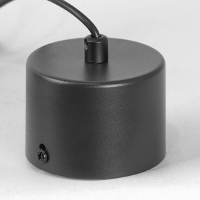 Подвесной светильник Lussole Milam LSP-7451 в Сысерти - sysert.ok-mebel.com | фото 7