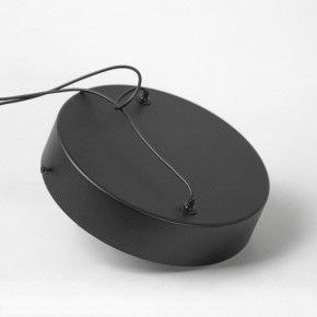 Подвесной светильник Lussole Mitchell LSP-7308 в Сысерти - sysert.ok-mebel.com | фото 5