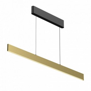 Подвесной светильник Maytoni Ephoria P109PL-36W2.7-6K-BS в Сысерти - sysert.ok-mebel.com | фото 7