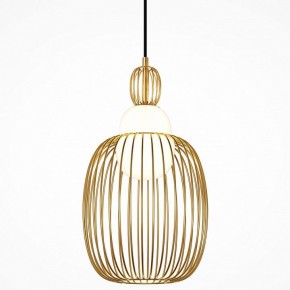 Подвесной светильник Maytoni Levitation MOD376PL-01G1 в Сысерти - sysert.ok-mebel.com | фото