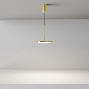 Подвесной светильник Maytoni Plato P076PL-L12W4K-BS в Сысерти - sysert.ok-mebel.com | фото 4