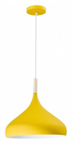 Подвесной светильник Moderli Eline V1293-1P в Сысерти - sysert.ok-mebel.com | фото 3