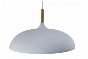 Подвесной светильник Moderli Hygo V11447-1P в Сысерти - sysert.ok-mebel.com | фото