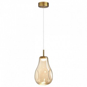 Подвесной светильник Odeon Light Nave 5098/4L в Сысерти - sysert.ok-mebel.com | фото 2
