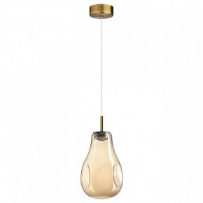 Подвесной светильник Odeon Light Nave 5098/4L в Сысерти - sysert.ok-mebel.com | фото 4
