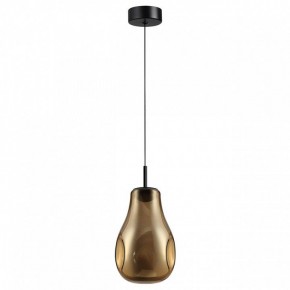 Подвесной светильник Odeon Light Nave 5098/4LA в Сысерти - sysert.ok-mebel.com | фото 4