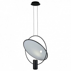 Подвесной светильник Omnilux Noci OML-29806-02 в Сысерти - sysert.ok-mebel.com | фото 6