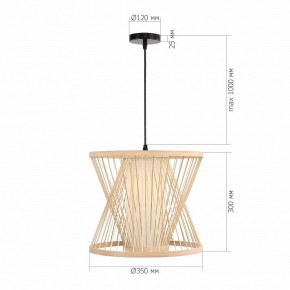 Подвесной светильник ST-Luce ALMA SL6241.503.01 в Сысерти - sysert.ok-mebel.com | фото 5