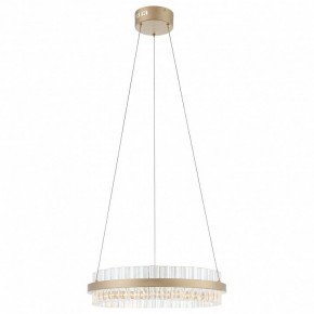 Подвесной светильник ST-Luce Cherio SL383.203.01 в Сысерти - sysert.ok-mebel.com | фото 3