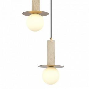 Подвесной светильник ST-Luce Earthy SL1194.303.03 в Сысерти - sysert.ok-mebel.com | фото 4