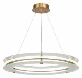 Подвесной светильник ST-Luce FAGY SL6245.203.01 в Сысерти - sysert.ok-mebel.com | фото 2