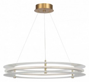 Подвесной светильник ST-Luce FAGY SL6245.203.01 в Сысерти - sysert.ok-mebel.com | фото 3