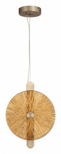 Подвесной светильник ST-Luce WASI SL6141.313.01 в Сысерти - sysert.ok-mebel.com | фото 3
