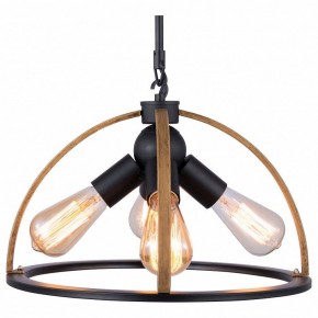 Подвесной светильник TopLight Jasmin TL1179H-04BK в Сысерти - sysert.ok-mebel.com | фото