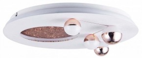 Потолочная люстра Favourite Plaides 4630-4C в Сысерти - sysert.ok-mebel.com | фото 3