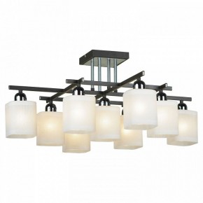 Потолочная люстра Lussole Costanzo LSL-9007-09 в Сысерти - sysert.ok-mebel.com | фото 2