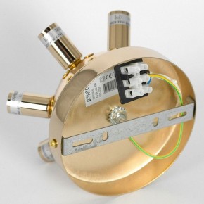 Потолочная люстра Lussole Davie LSP-8782 в Сысерти - sysert.ok-mebel.com | фото 4