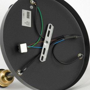 Потолочная люстра Lussole Mitchel LSP-8996 в Сысерти - sysert.ok-mebel.com | фото 5
