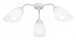 Потолочная люстра Vitaluce V31950 V31950/3PL в Сысерти - sysert.ok-mebel.com | фото