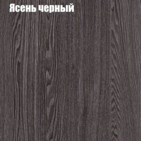 Прихожая ДИАНА-4 сек №10 (Ясень анкор/Дуб эльза) в Сысерти - sysert.ok-mebel.com | фото 3