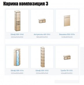 Прихожая Карина (модульная) в Сысерти - sysert.ok-mebel.com | фото 8