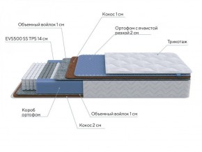 PROxSON Матрас Active Duo M/F (Ткань Трикотаж Эко) 120x200 в Сысерти - sysert.ok-mebel.com | фото 7