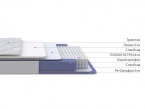 PROxSON Матрас Active Duo S/F (Ткань Трикотаж Эко) 160x195 в Сысерти - sysert.ok-mebel.com | фото